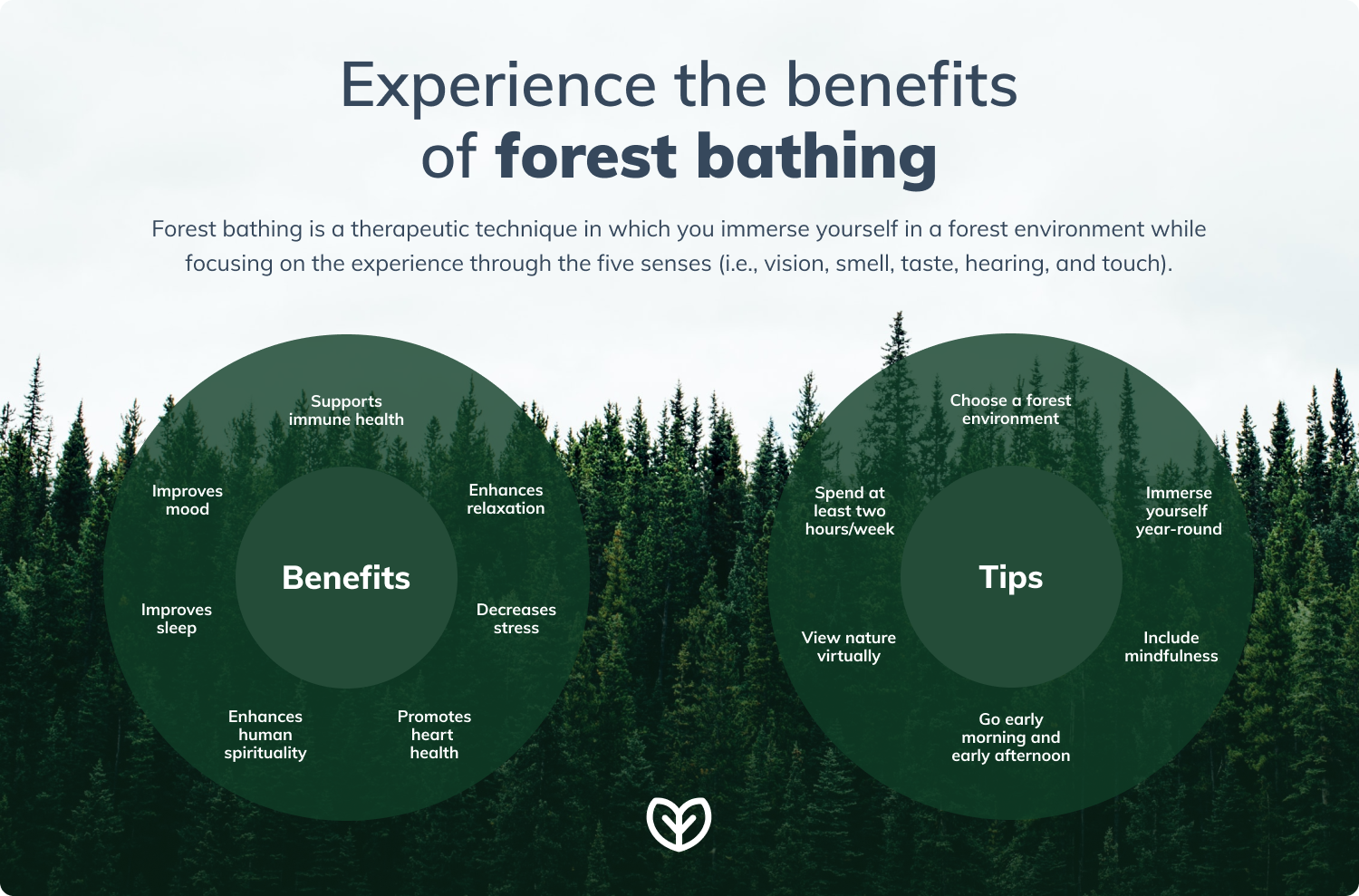 forest bathing benefits infographic