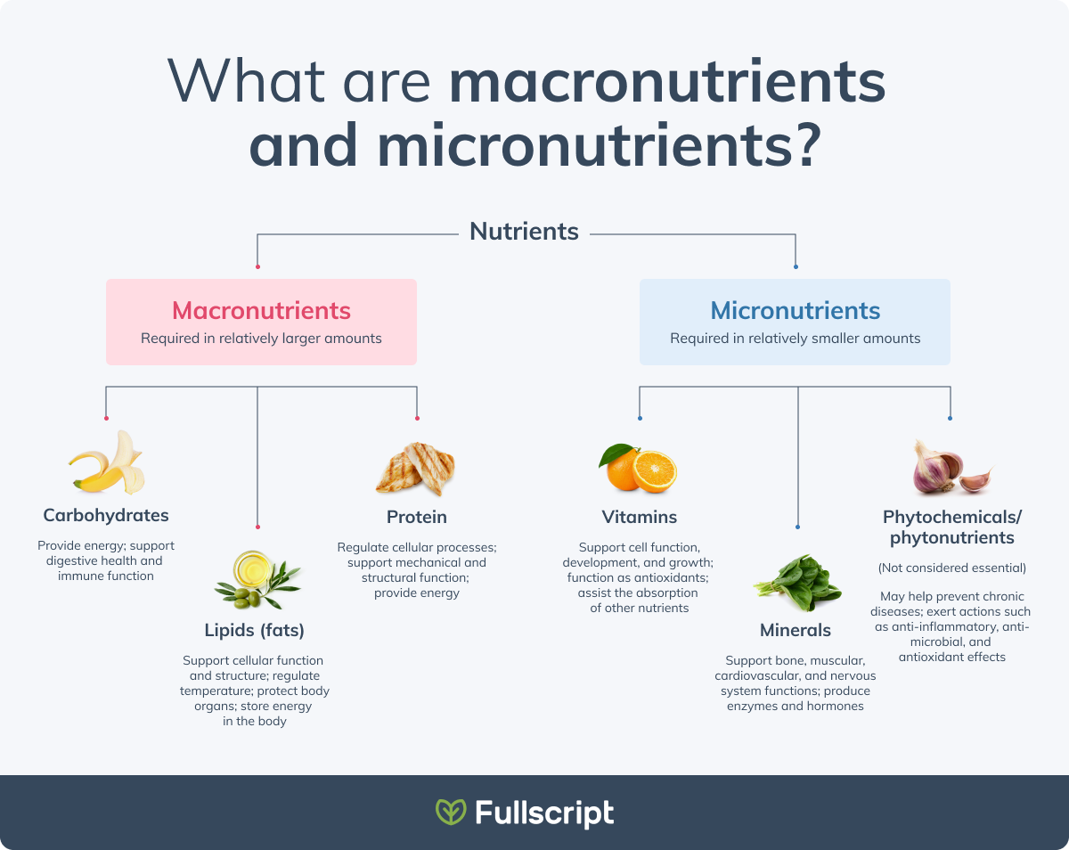 what are macronutrients and micronutrients chart