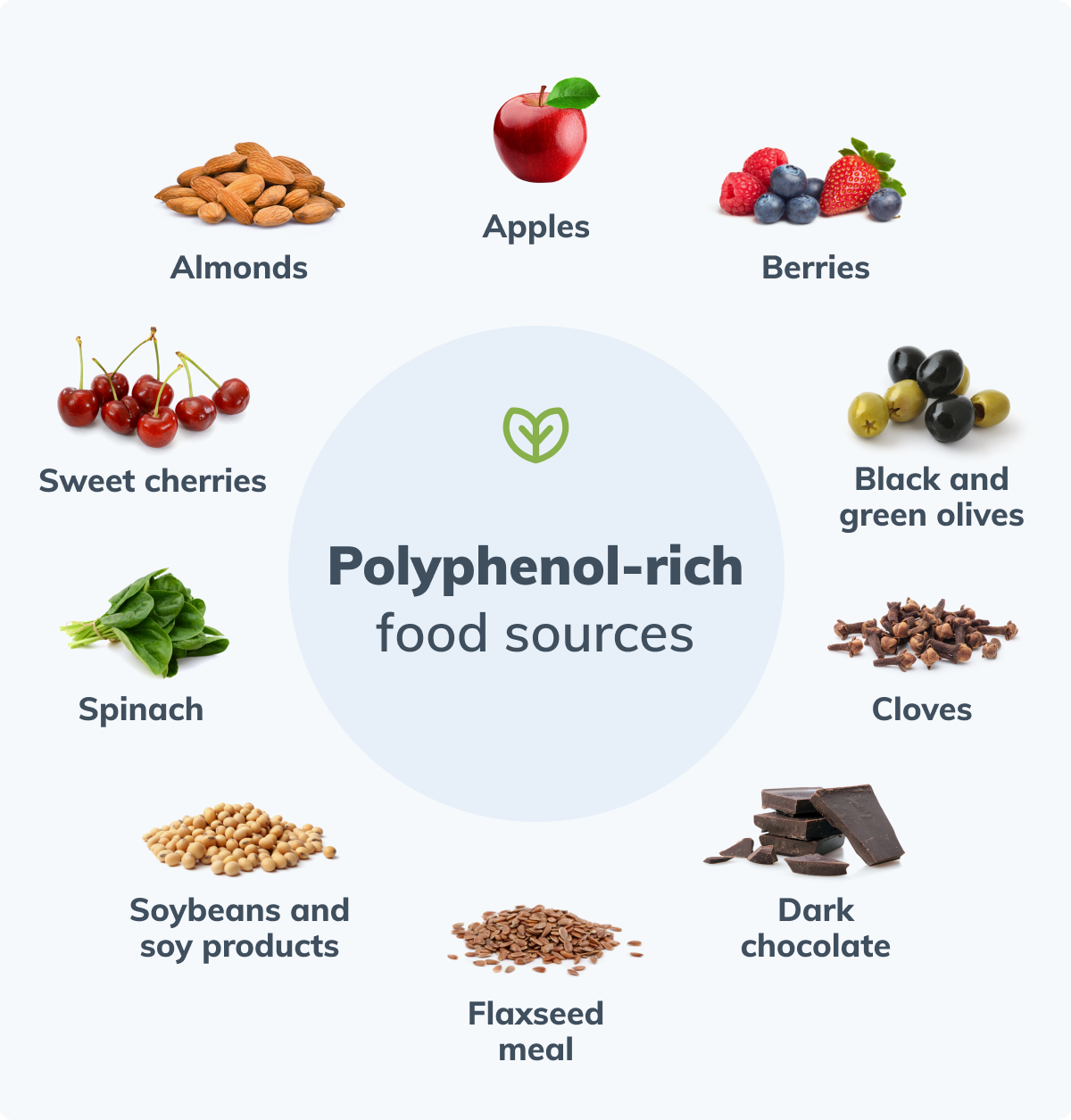 polyphenols foods chart