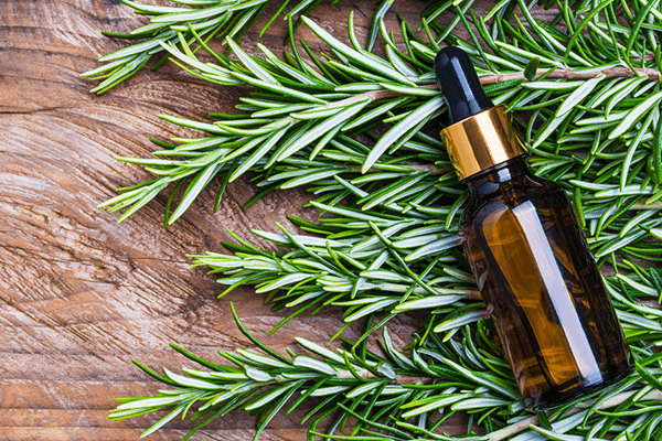 essential oil in bottle laying on top of rosemary branches