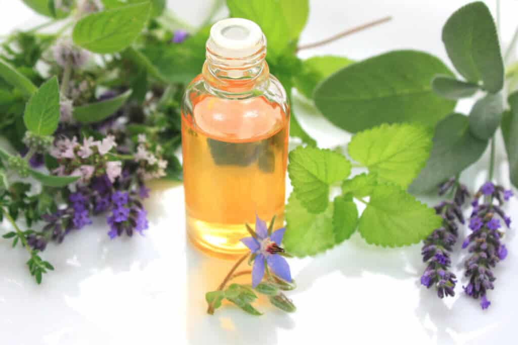 A dropper bottle of essential oil placed against a background of herbs