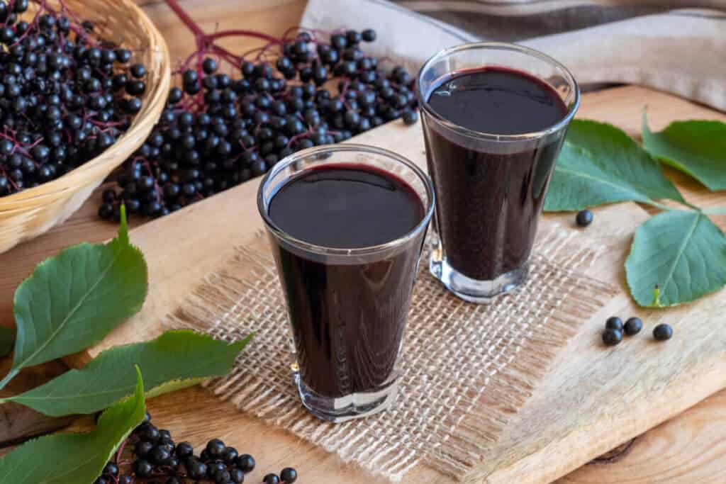 elderberry juice in two glasses with elderberries next to the glasses