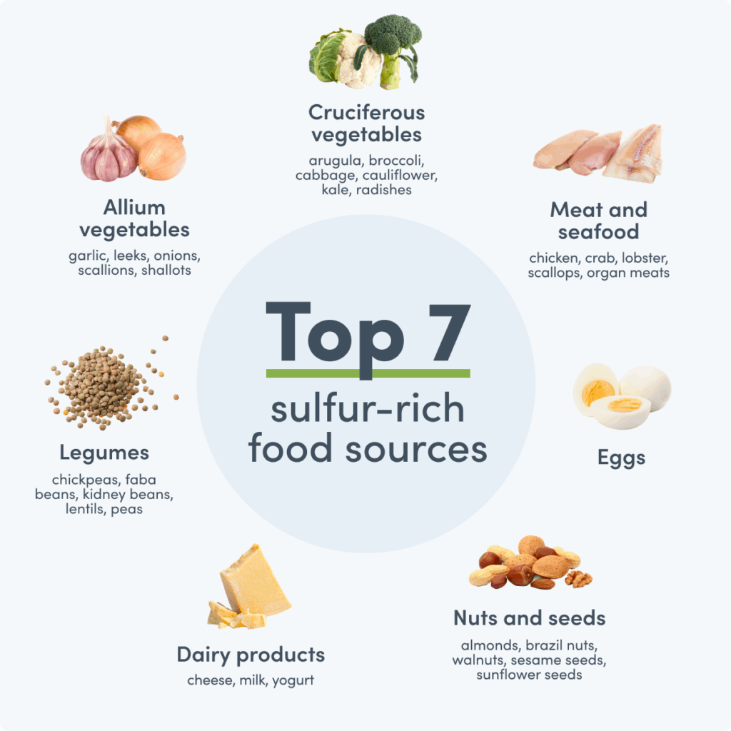 graphic showing top seven sulfur-rich food sources