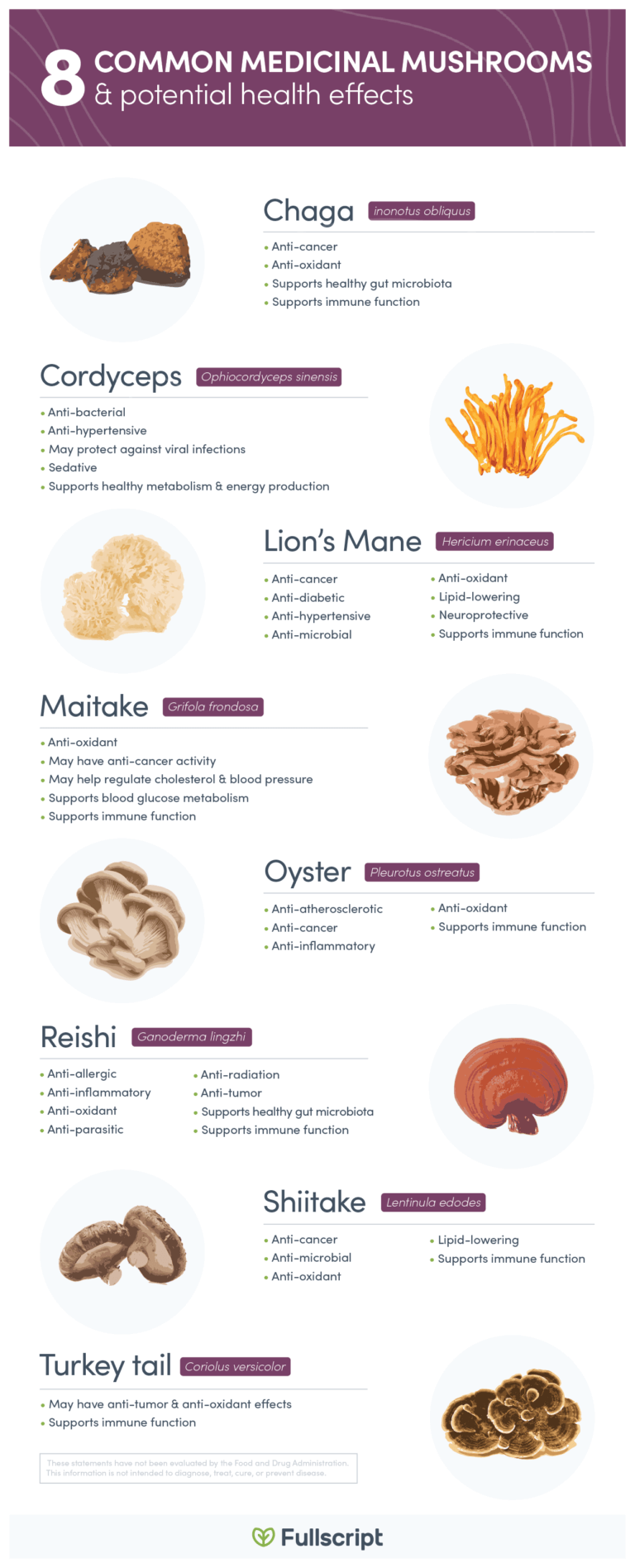 graphic showing a variety of medicinal mushrooms and their benefits