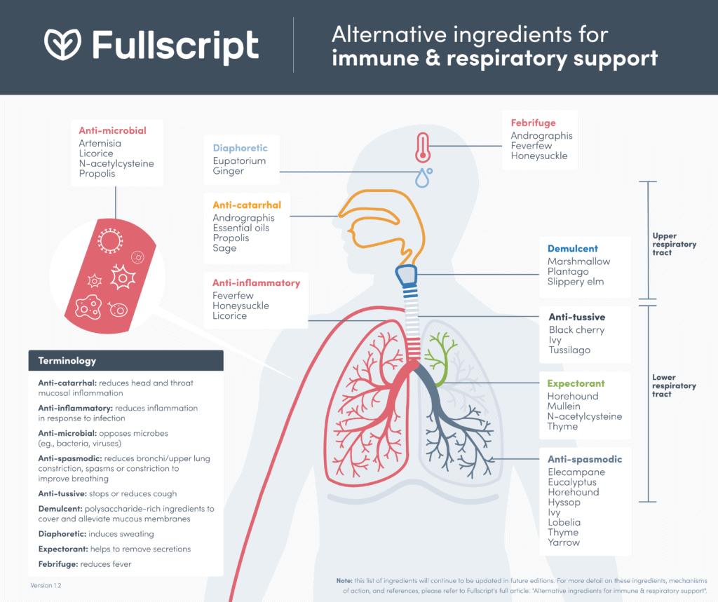 Alternative ingredients for immune support diagram