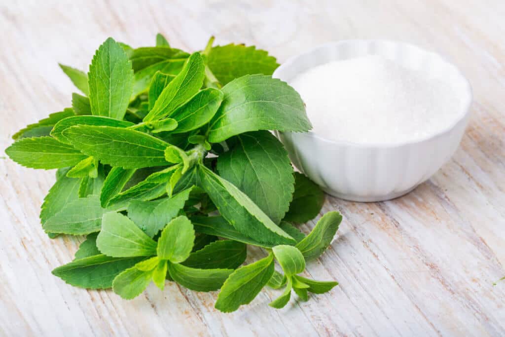 Stevia plant and stevia extract in powder form in a white bowl