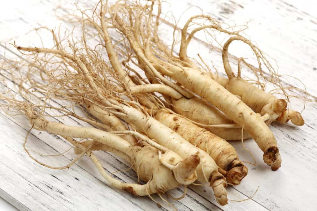 Image of ginseng roots