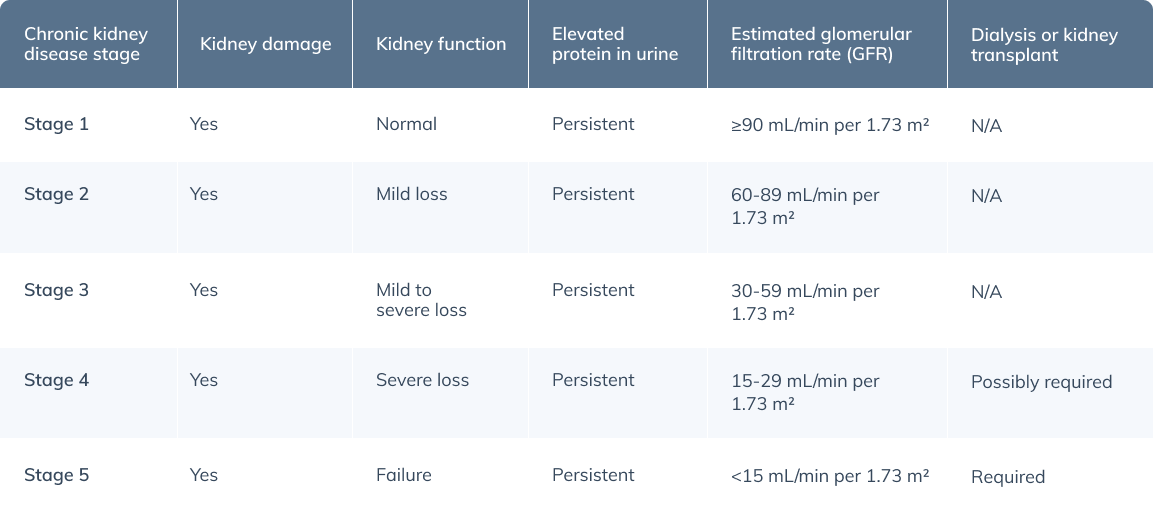 kidney supplements chronic kidney disease stages table