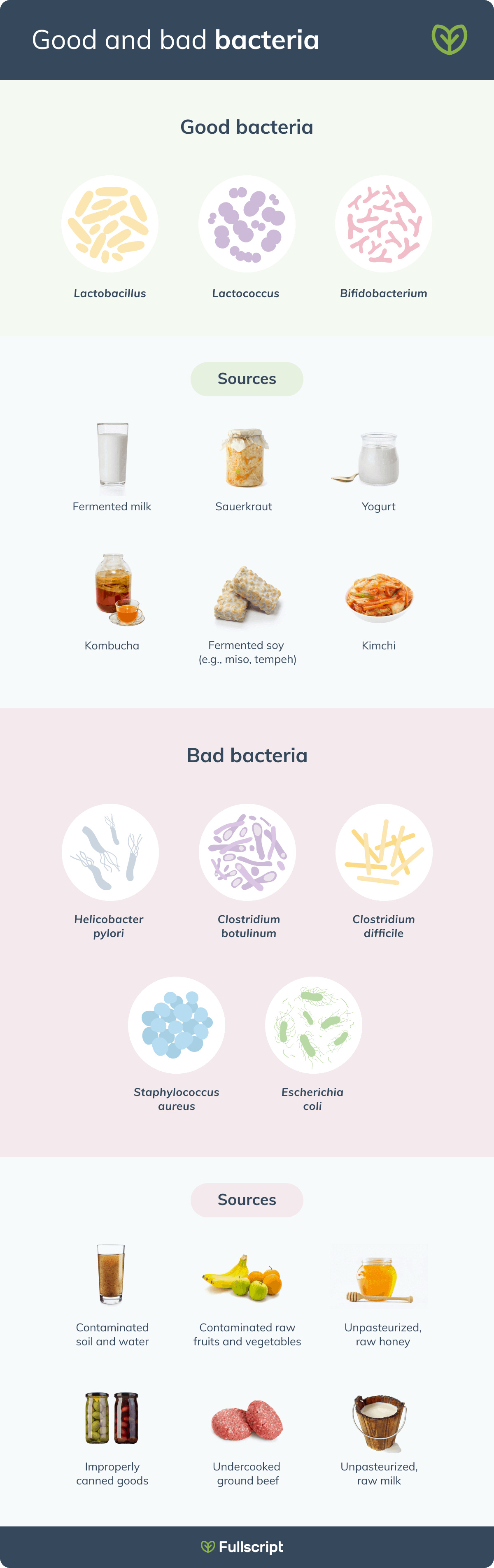 Chart showing good and bad gut bacteria