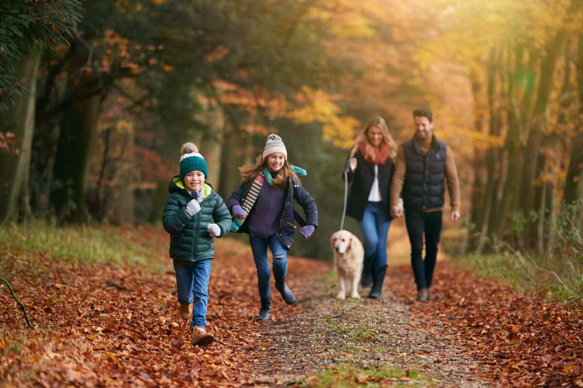 Forest bathing family walking a dog