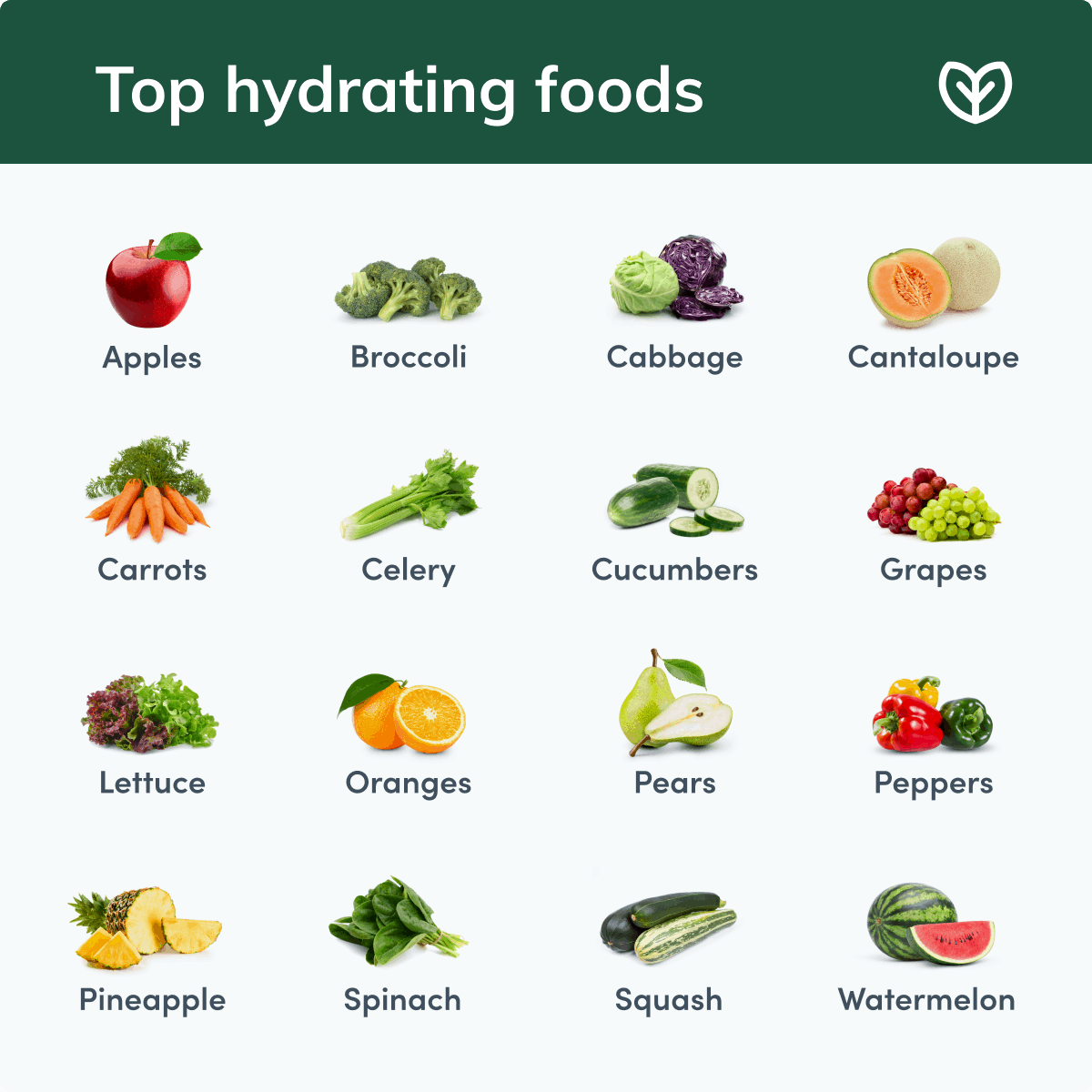 hydration list of top hydrating foods