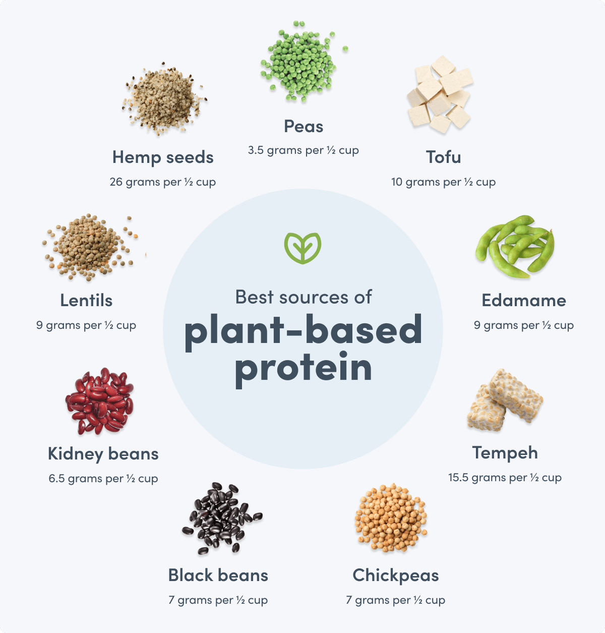Supplements for vegans plant based protein