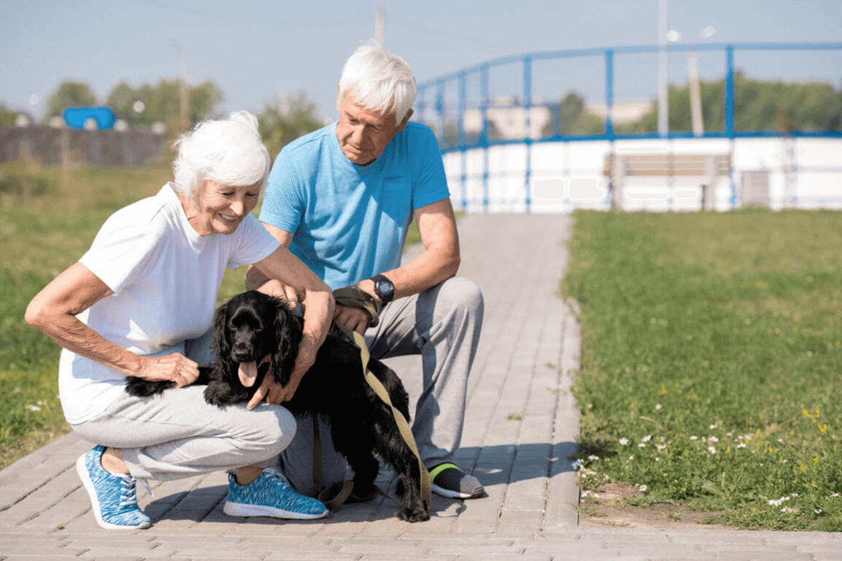 older man and woman walking with dog outdoors