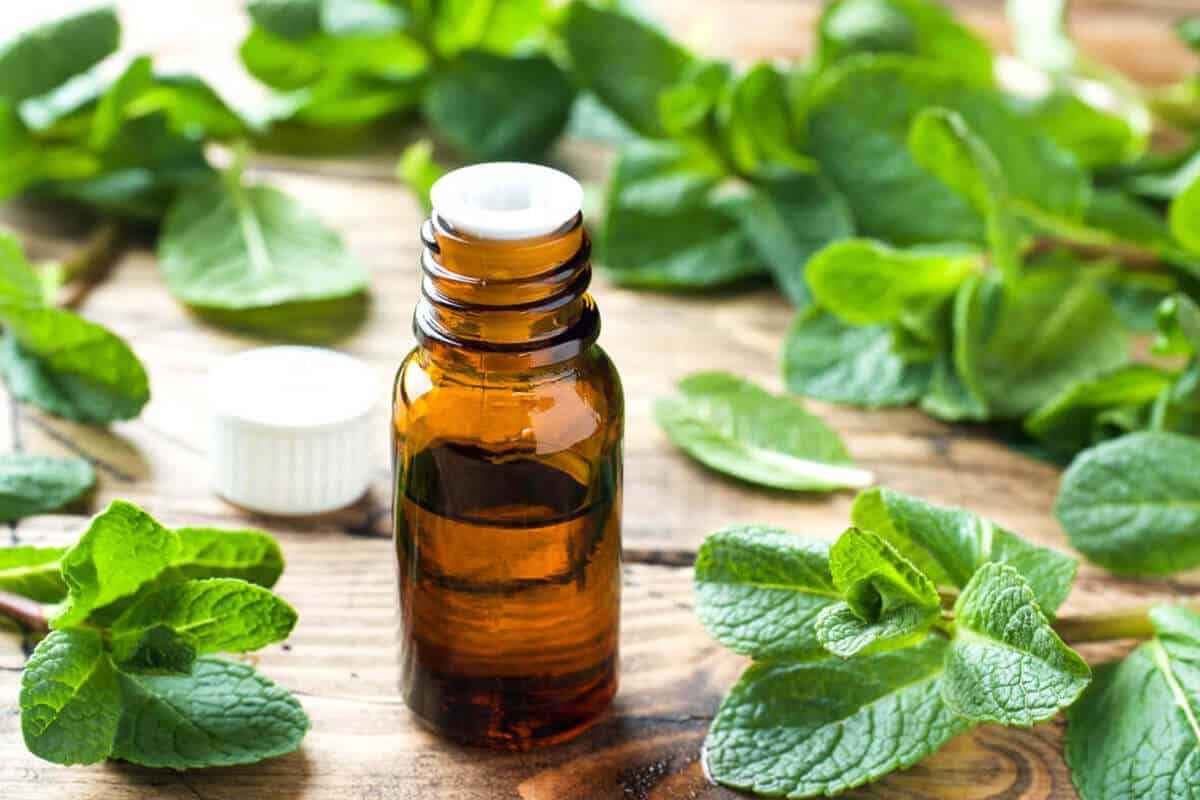 Essential oil dropper on table with peppermint leaves