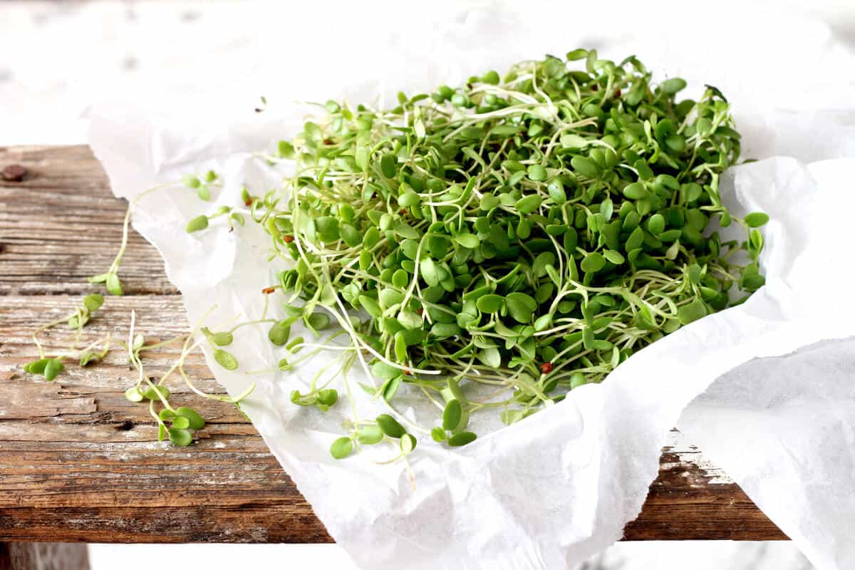 best superfoods sprouts