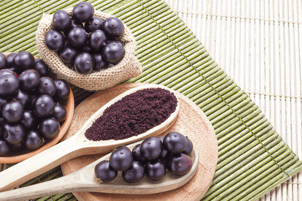 what is acai? explore all the health benefits blog post