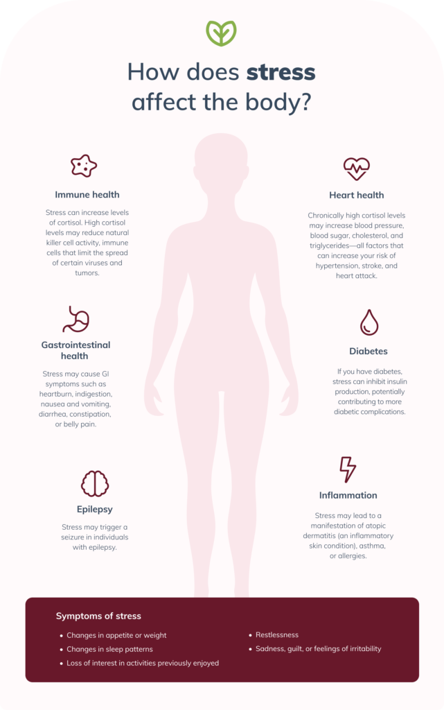 stress affecting the body infographic