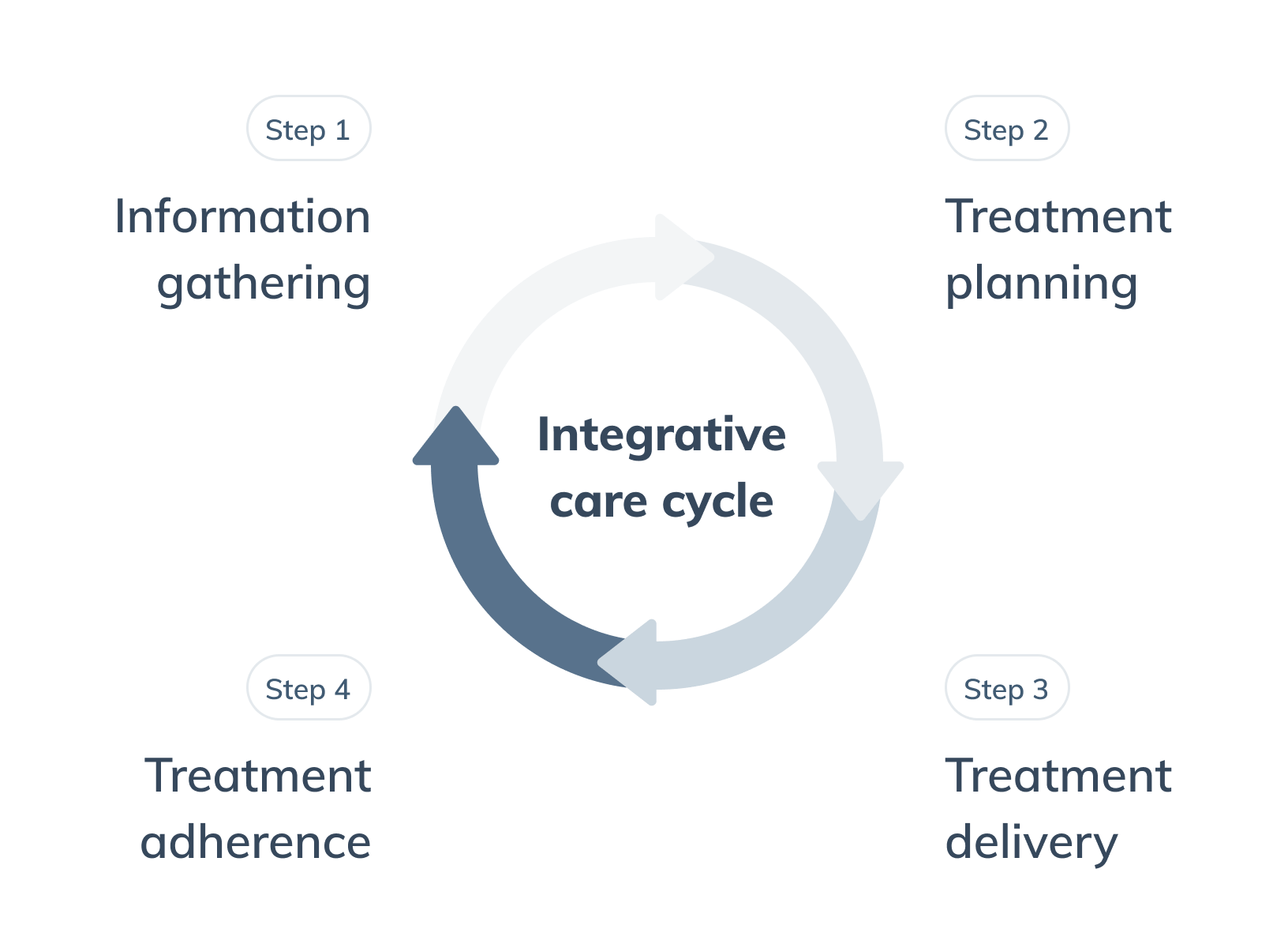 integrative medicine flow chart