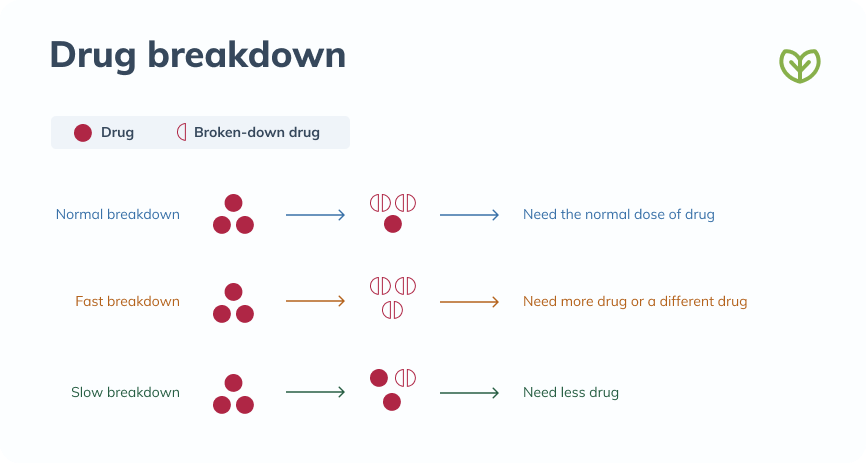 drug breakdown chart