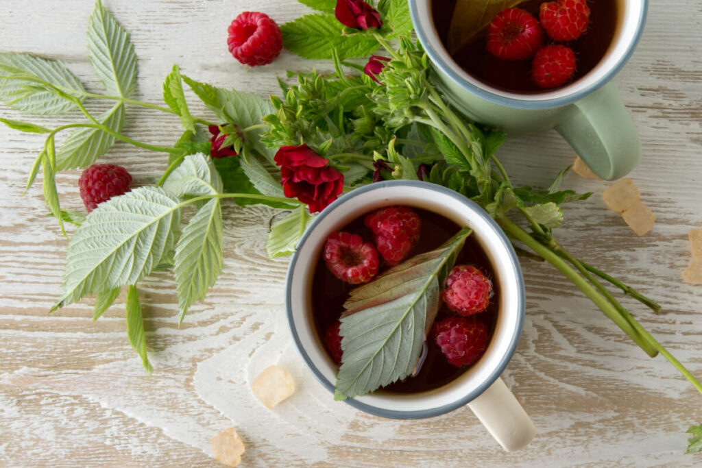 raspberry leaf benefits